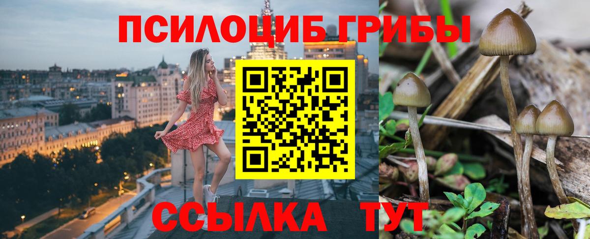 Галлюциногенные грибы мухоморы  купить закладку  Псилоцибиновые грибы Magic Shrooms  Гусиноозёрск  Вход с VPN 